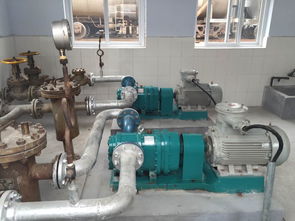 广州企业购买罗德转子泵厂家的转子泵让人放心